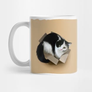 Cat in a box Mug